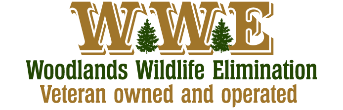 Woodlands Wildlife Elimination