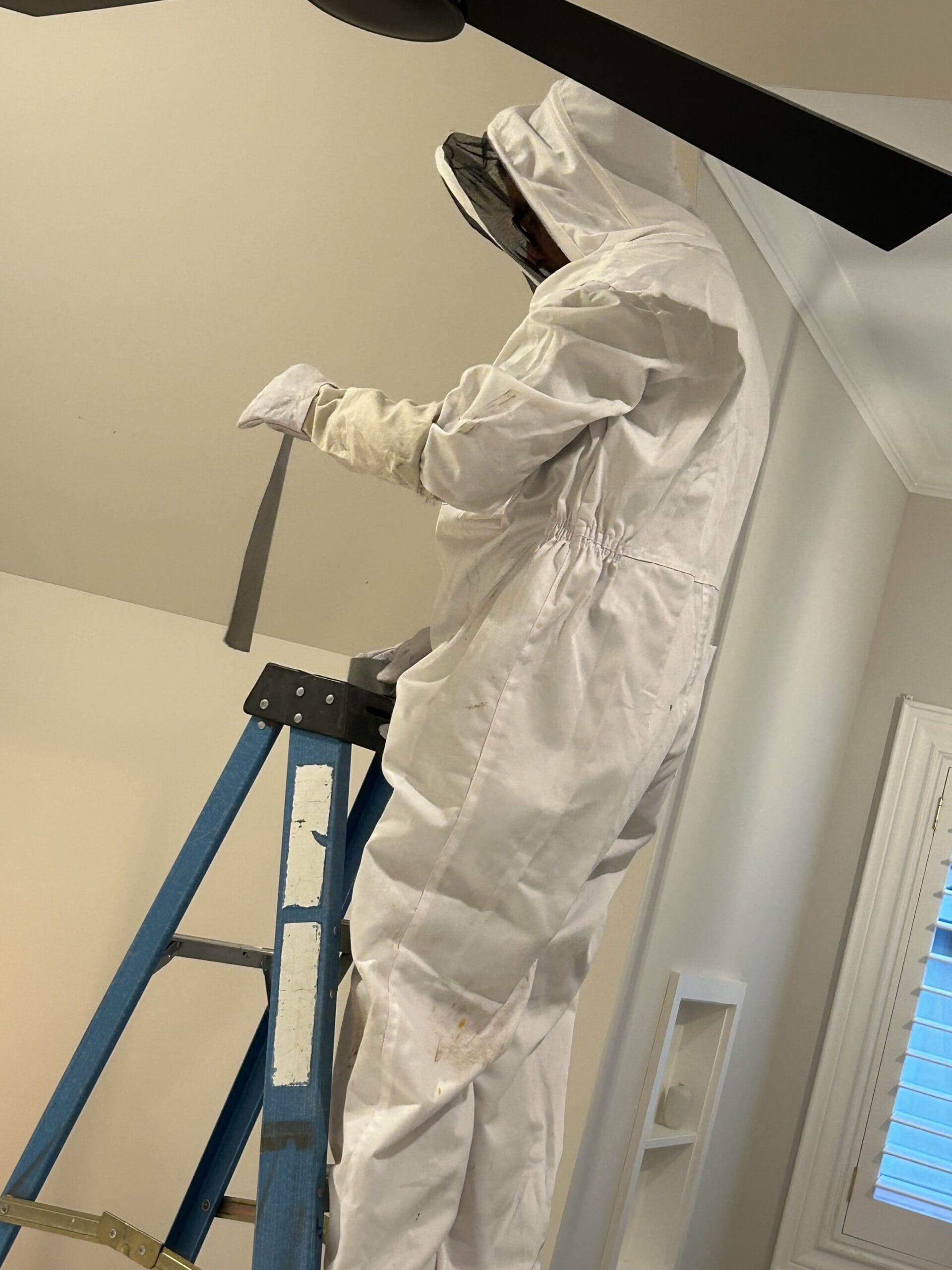 houston texas pest control